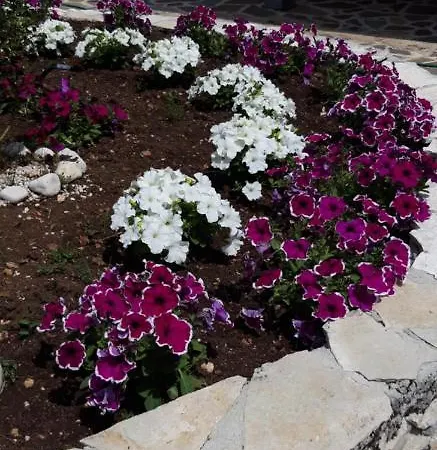 ベッド・アンド・ブレックファスト La Loggia カステル・ディ・サングロ