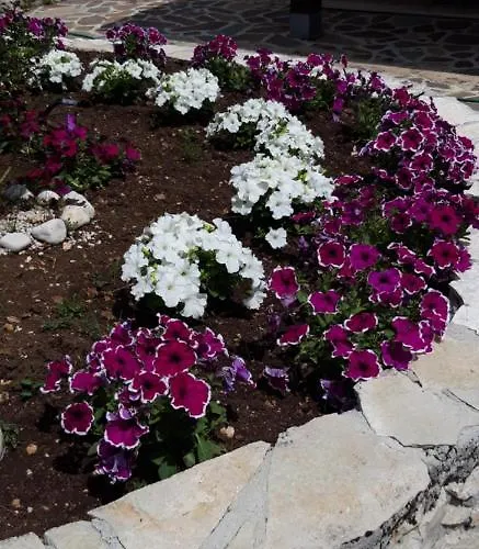 Couette-café La Loggia Castel Di Sangro